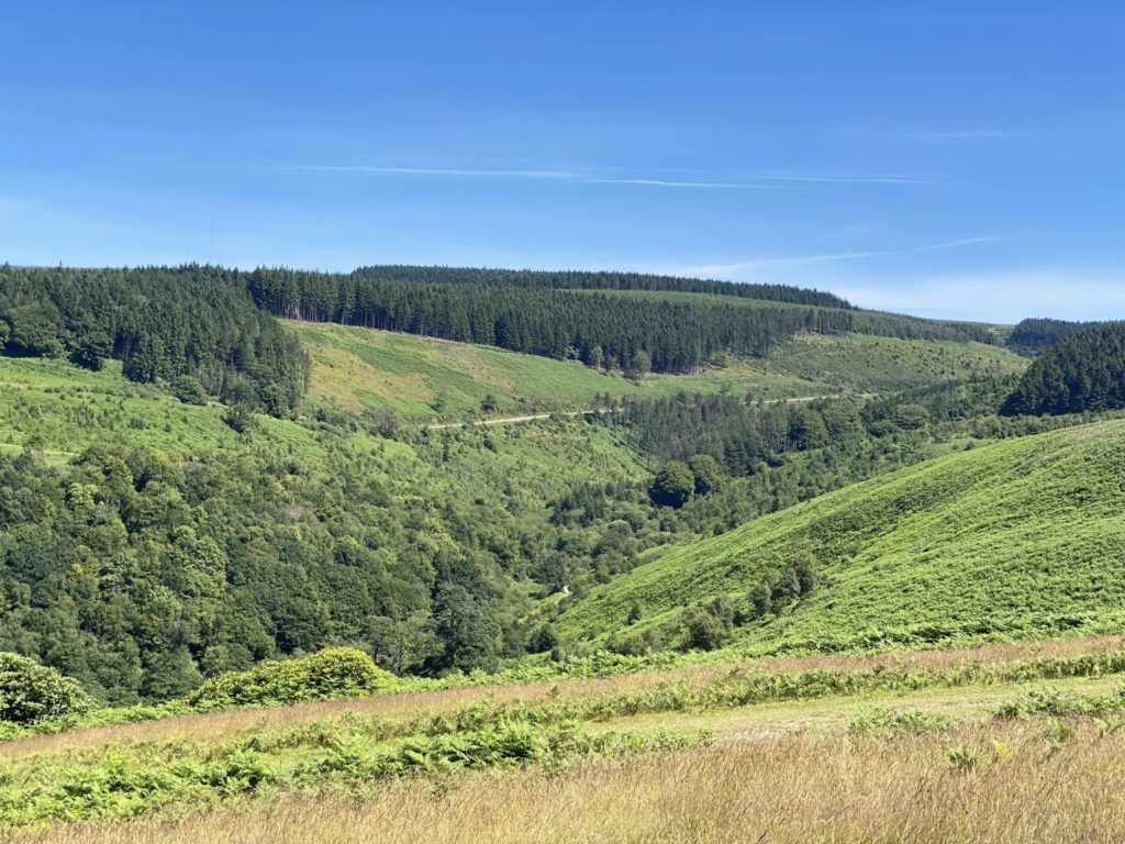 Margam Forestry as viewed from the Pulpit at the top of Margam Park, both are ideal for long walks and day hikes from our campsite.