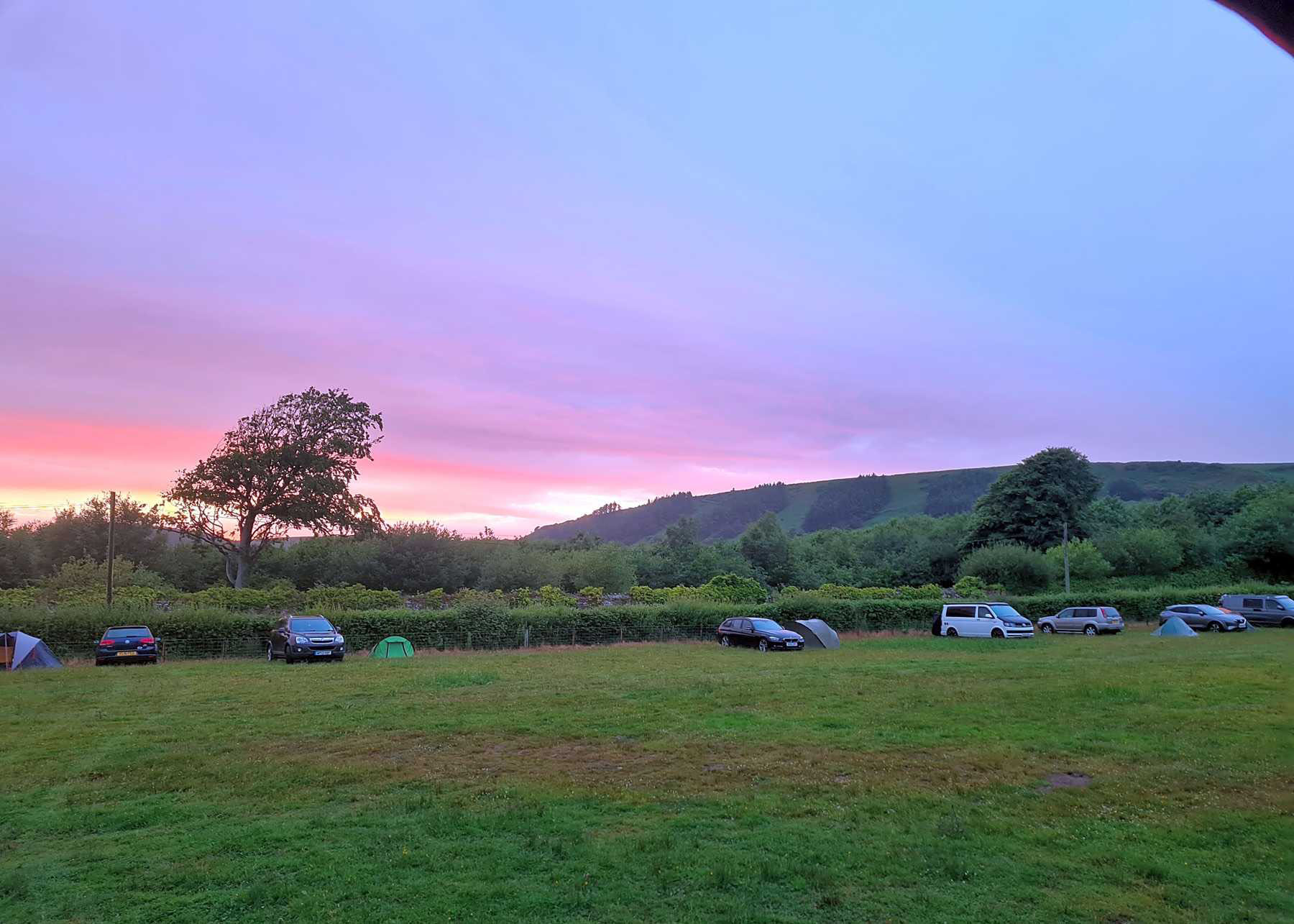 Camping in fields next to Margam Park