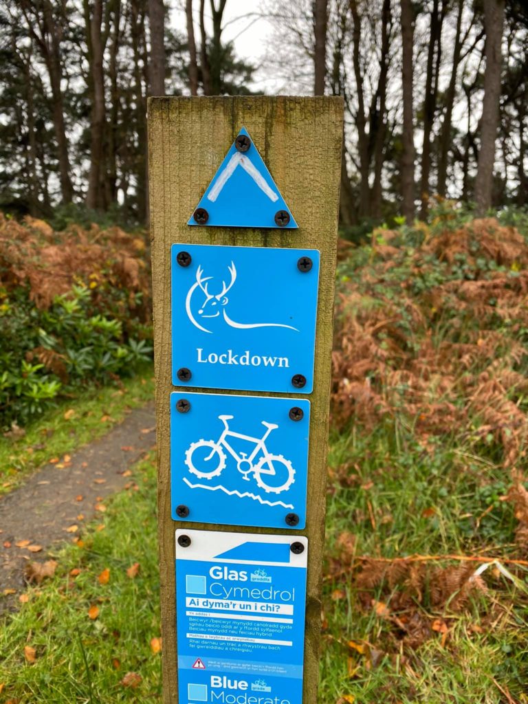 Lockdown Blue Trail - Mountain biking around Port Talbot