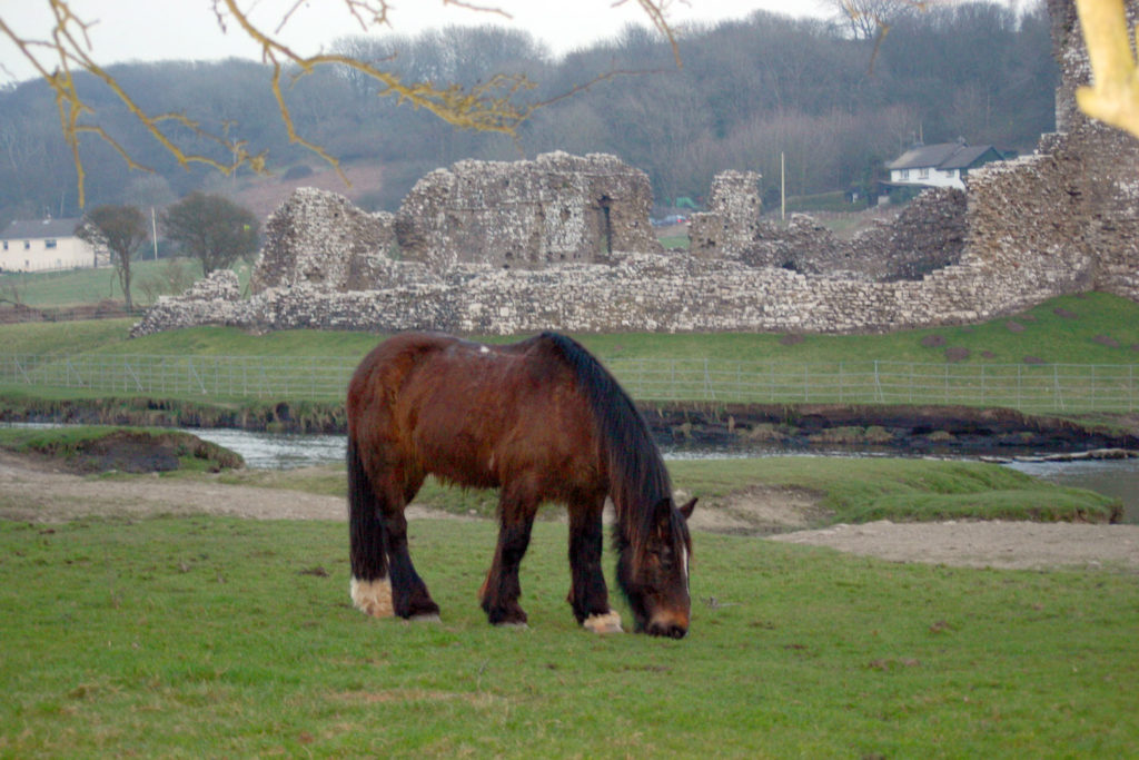 Campsite near Ogmore