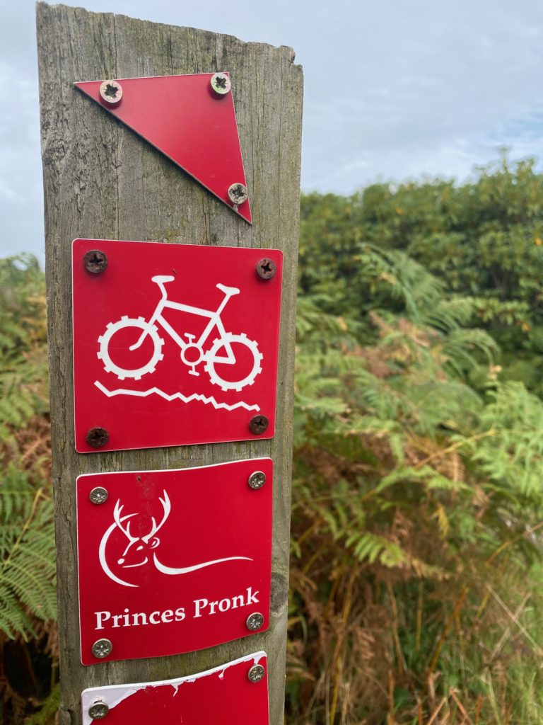 Princes Pronk, Red Trail - Mountain biking around Port Talbot