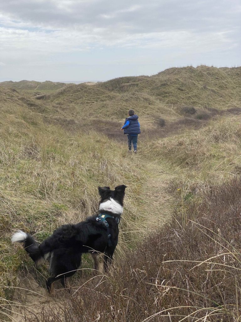 Kenfig Dunes